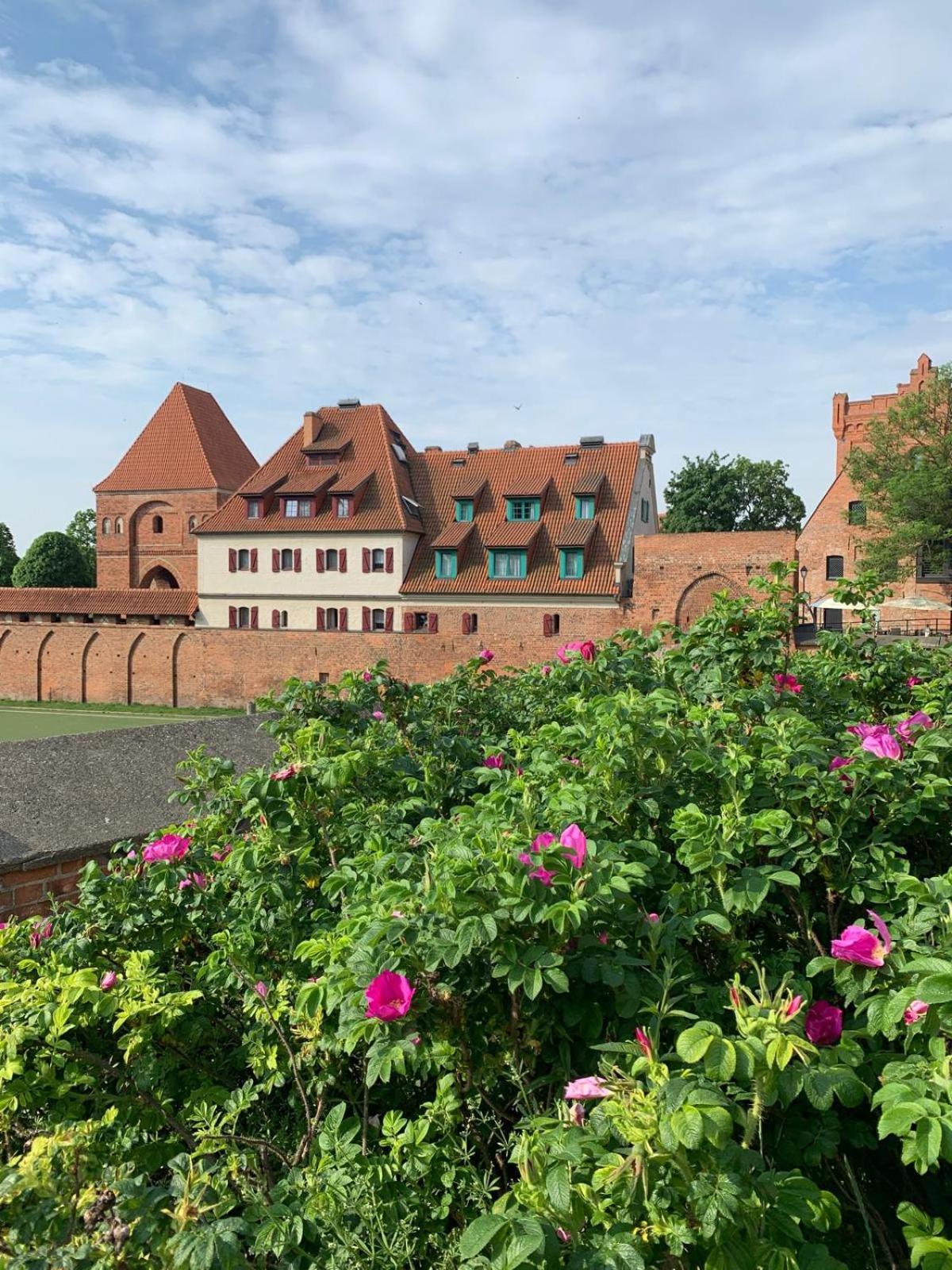 Apartament Krysztalowy Ac Progres Stary Toruń Buitenkant foto